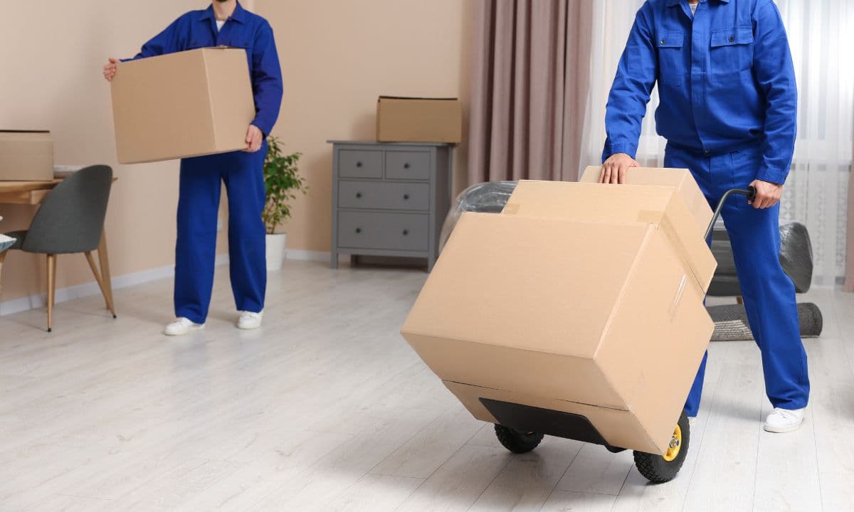 Eco-Friendly Relocation with Nepal City Packers and Movers